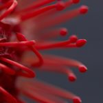 好看视频下载 z99td